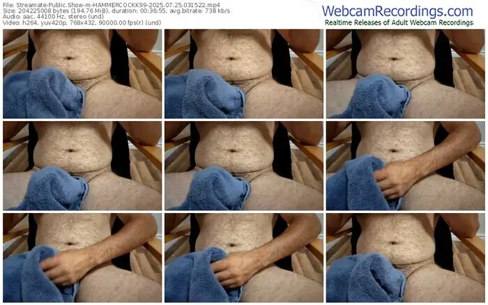 streamate-hammercockk99-07-25-2025-03-15-22