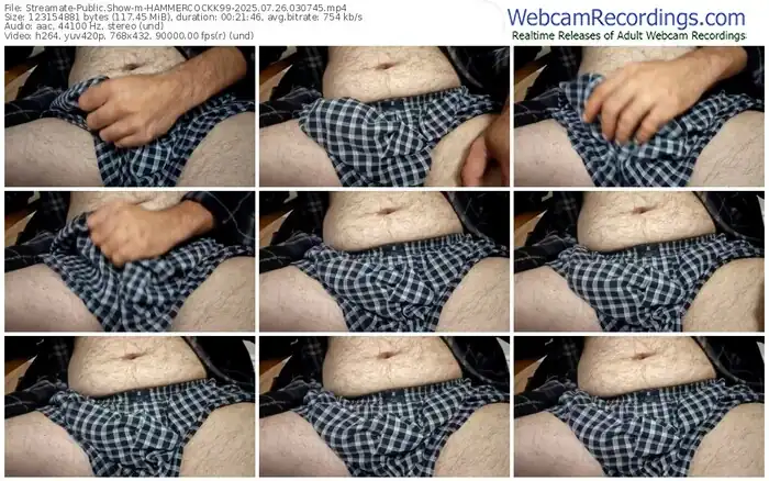 streamate-hammercockk99-07-26-2025-03-07-45