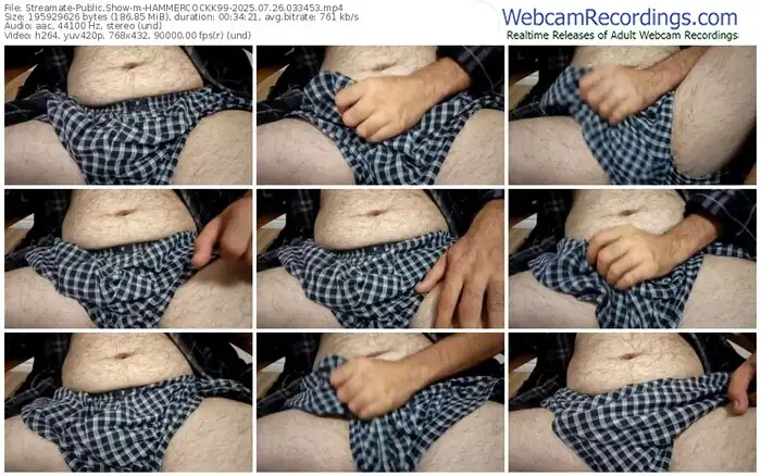 streamate-hammercockk99-07-26-2025-03-34-53