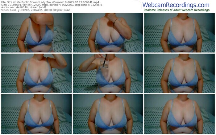 streamate-ladyofyourdreams19-07-27-2025-00-08-41