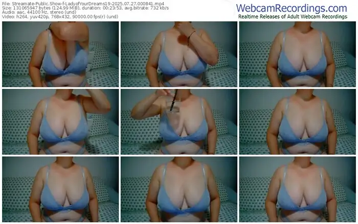 streamate-ladyofyourdreams19-07-27-2025-00-08-41