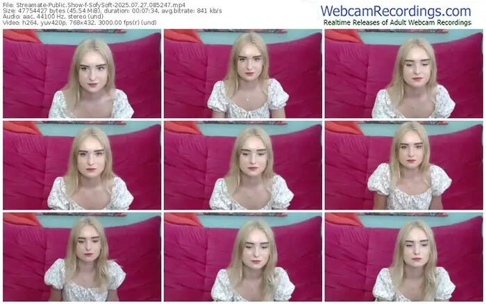 streamate-sofysoft-07-27-2025-08-52-47