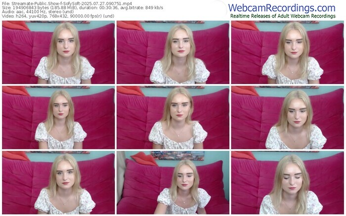 streamate-sofysoft-07-27-2025-09-07-51