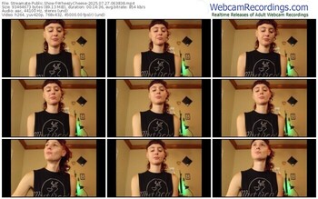 streamate-wheezycheese-07-27-2025-06-38-38