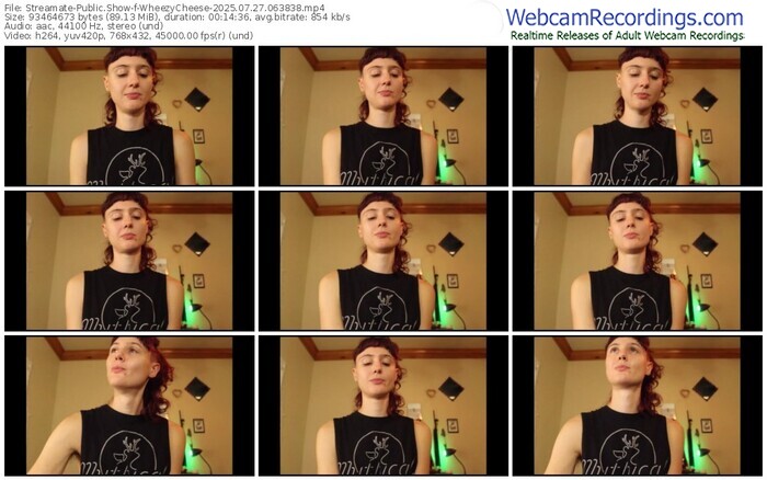 streamate-wheezycheese-07-27-2025-06-38-38