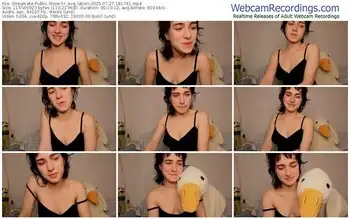 streamate-r_eva_lation-07-27-2025-18-17-41