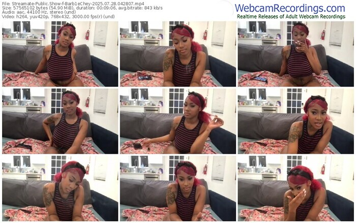 streamate-barb1echey-07-28-2025-04-28-07