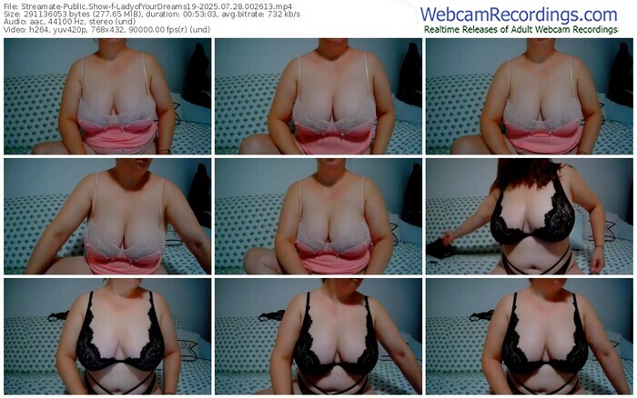 streamate-ladyofyourdreams19-07-28-2025-00-26-13