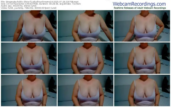 streamate-ladyofyourdreams19-07-28-2025-22-07-08