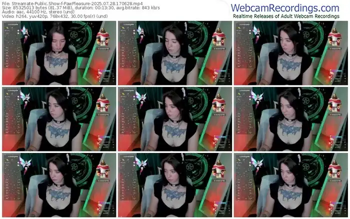 streamate-pawpleasure-07-28-2025-17-06-28
