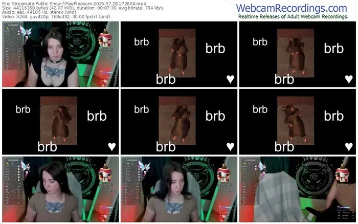 streamate-pawpleasure-07-28-2025-17-26-04