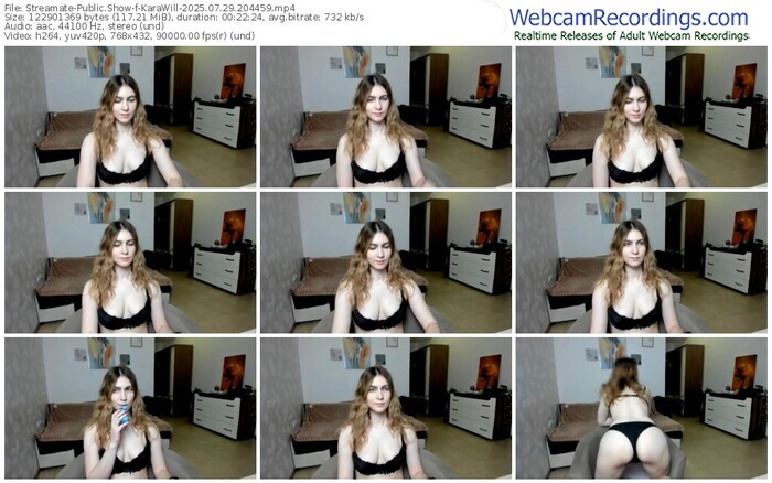 streamate-karawill-07-29-2025-20-44-59