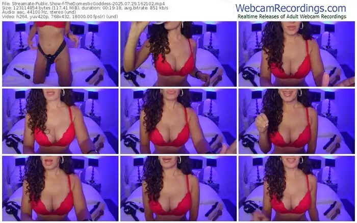 streamate-thedomesticgoddess-07-29-2025-16-21-02
