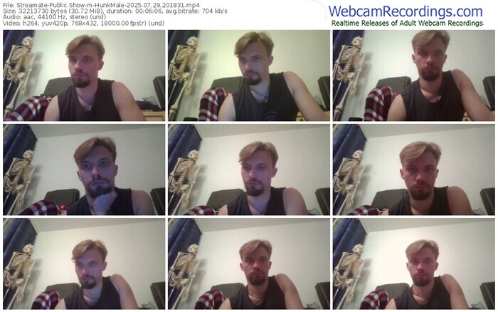 streamate-hunkmale-07-29-2025-20-18-31