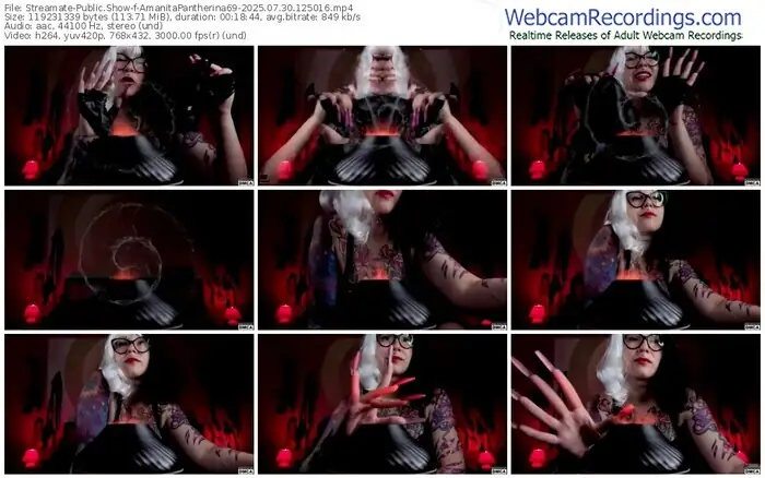 streamate-amanitapantherina69-07-30-2025-12-50-16