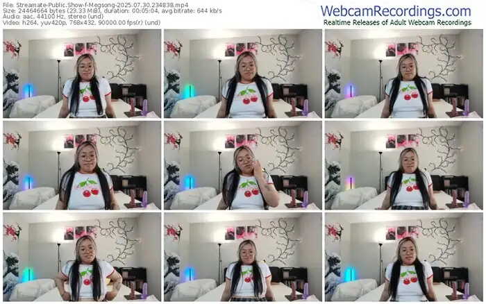streamate-megsong-07-30-2025-23-48-38