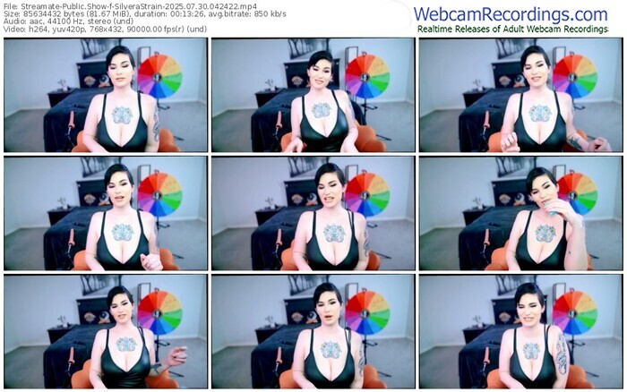 streamate-silverastrain-07-30-2025-04-24-22