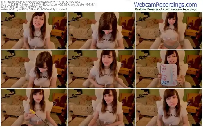 streamate-vixenminx-07-30-2025-05-17-25