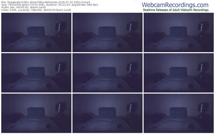 streamate-blondedesires-07-31-2025-23-01-10