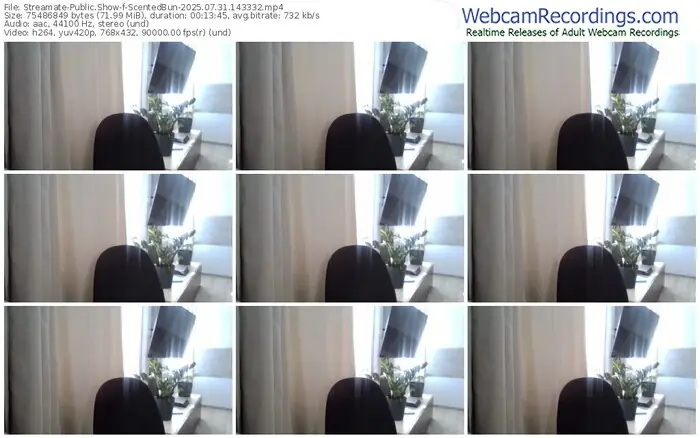 streamate-scentedbun-07-31-2025-14-33-32
