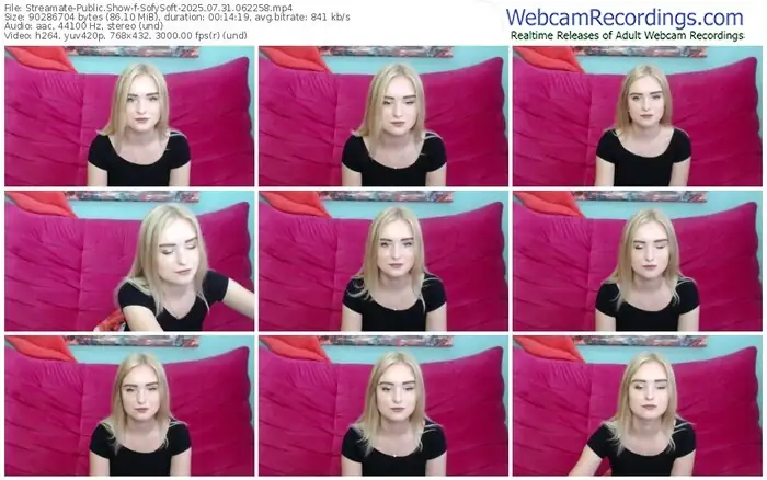 streamate-sofysoft-07-31-2025-06-22-58