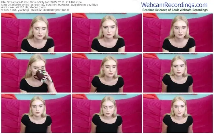 streamate-sofysoft-07-31-2025-11-14-03