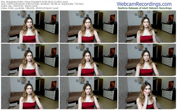 streamate-karawill-08-01-2025-21-05-11