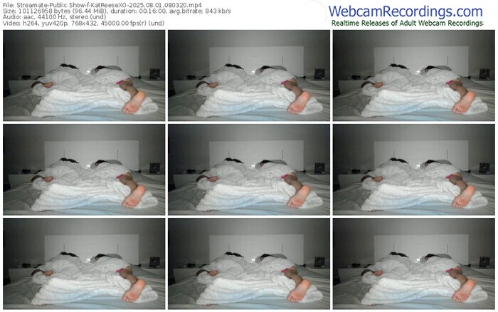 streamate-katreesexo-08-01-2025-08-03-20