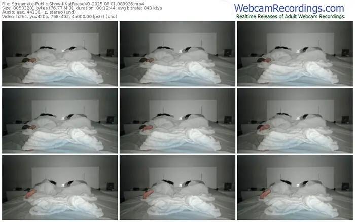 streamate-katreesexo-08-01-2025-08-39-36