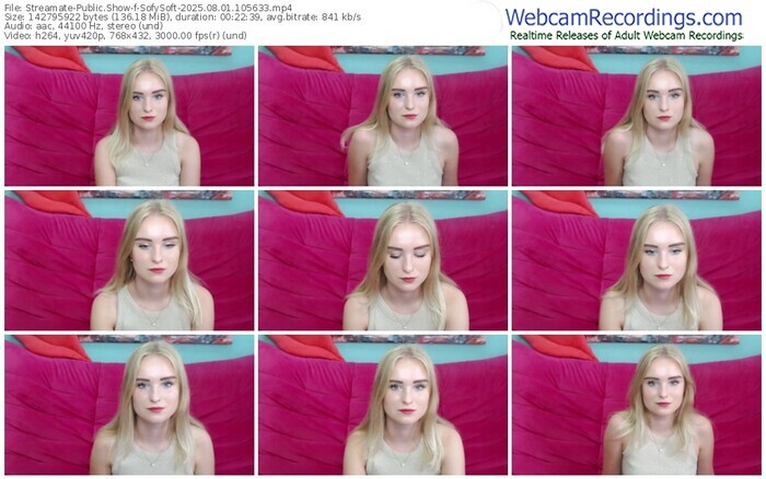 streamate-sofysoft-08-01-2025-10-56-33