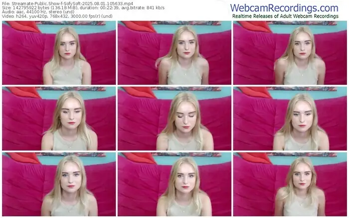 streamate-sofysoft-08-01-2025-10-56-33