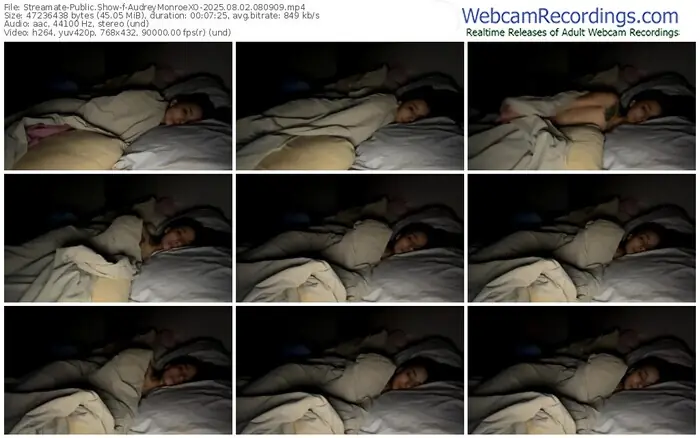 streamate-audreymonroexo-08-02-2025-08-09-09
