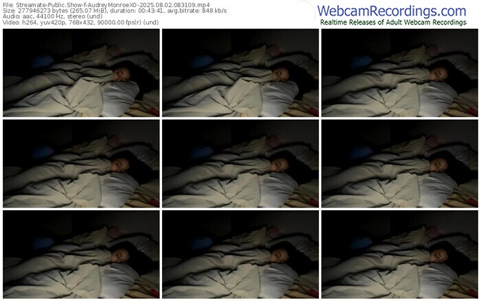 streamate-audreymonroexo-08-02-2025-08-31-09