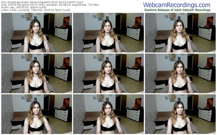 streamate-karawill-08-03-2025-23-20-57