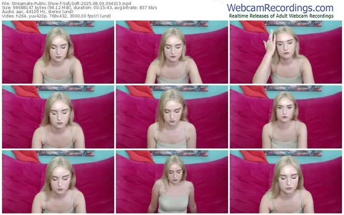 streamate-sofysoft-08-03-2025-09-43-13