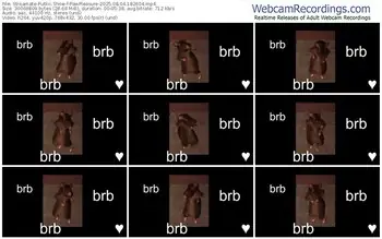 streamate-pawpleasure-08-04-2025-18-26-04