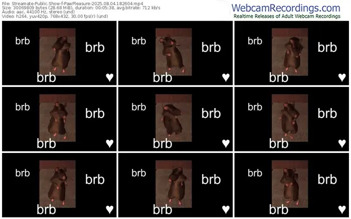 streamate-pawpleasure-08-04-2025-18-26-04