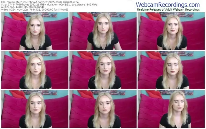 streamate-sofysoft-08-07-2025-07-02-01