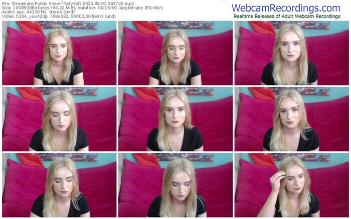 streamate-sofysoft-08-07-2025-08-37-20