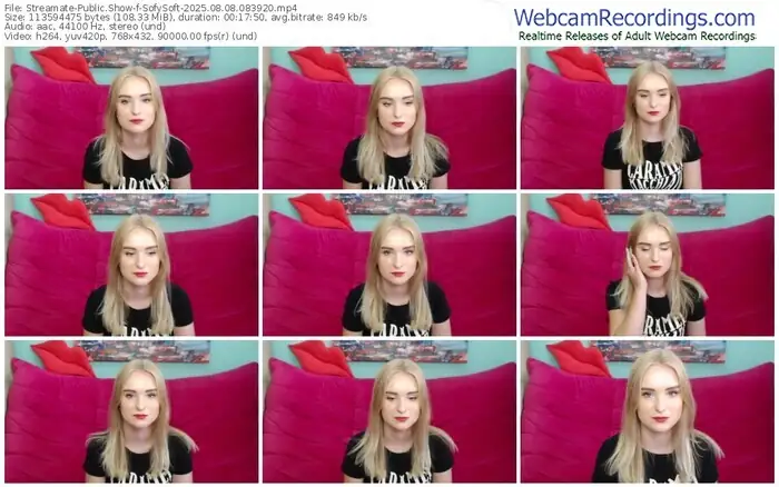 streamate-sofysoft-08-08-2025-08-39-20