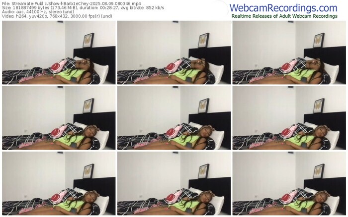 streamate-barb1echey-08-09-2025-08-03-46
