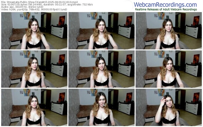 streamate-karawill-08-09-2025-01-19-19