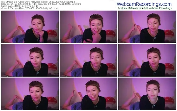 streamate-reverie_rollick-08-09-2025-22-04-58