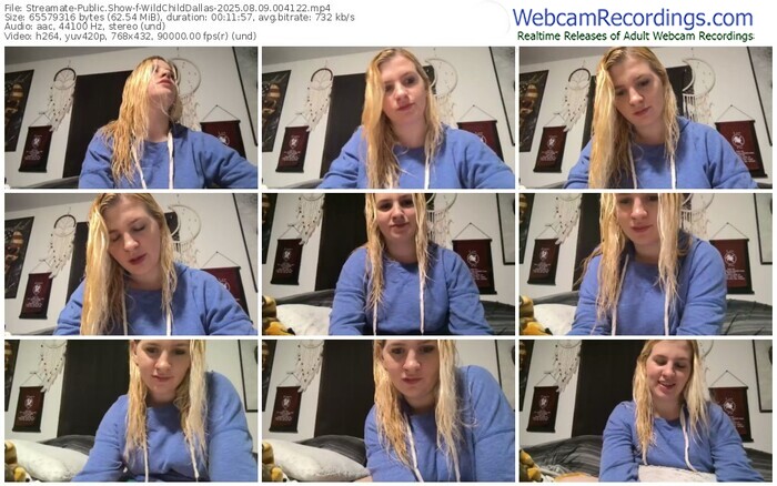 streamate-wildchilddallas-08-09-2025-00-41-22