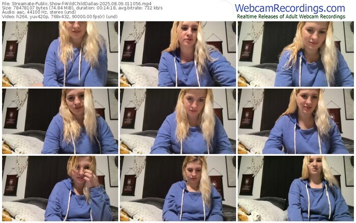 streamate-wildchilddallas-08-09-2025-01-10-56