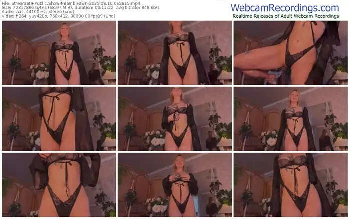 streamate-bambifawn-08-10-2025-06-28-15