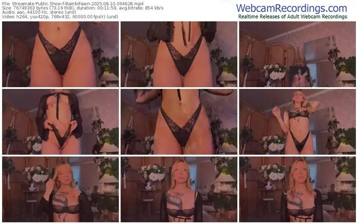 streamate-bambifawn-08-10-2025-06-46-28