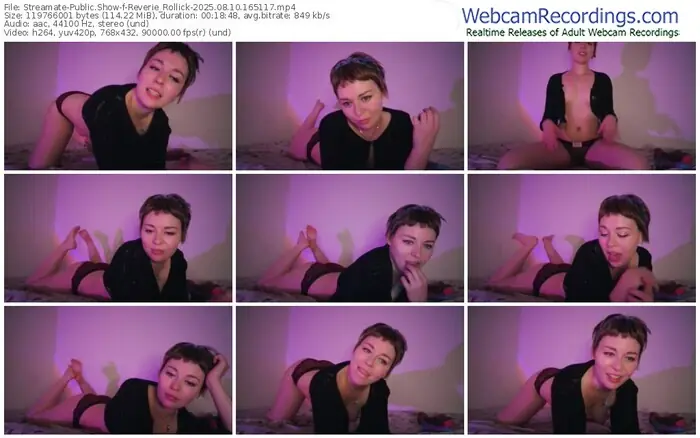 streamate-reverie_rollick-08-10-2025-16-51-17