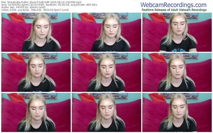 streamate-sofysoft-08-10-2025-15-04-38