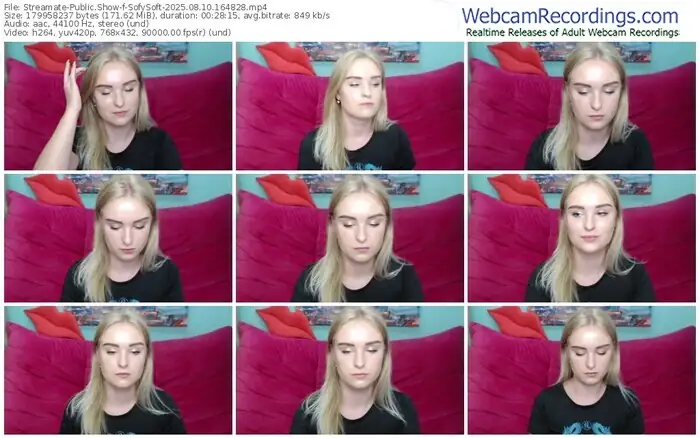 streamate-sofysoft-08-10-2025-16-48-28